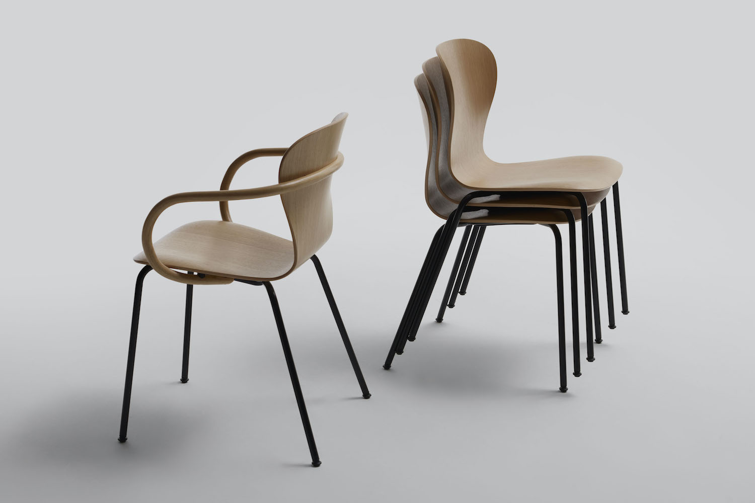 Verzoenen Verwaand samen Thonet S220 stoel kopen? Stapelbare design projectstoel, bespaar bij  Meinema!
